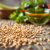 Siemię lniane – zdrowe superfood wspierające dietę i zdrowie